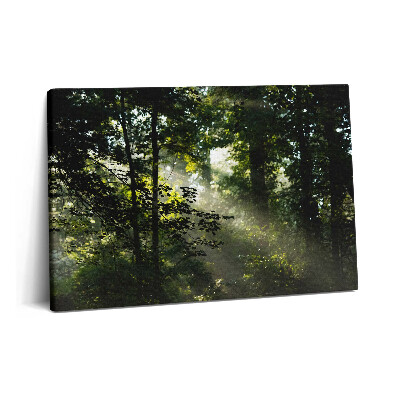 Tablou pe pânză 60x40 Razele soarelui și copacii