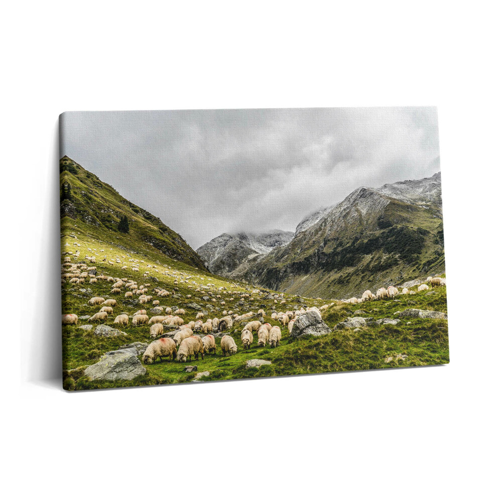 Tablou pe pânză 60x40 Oi într-o pajiște de munte