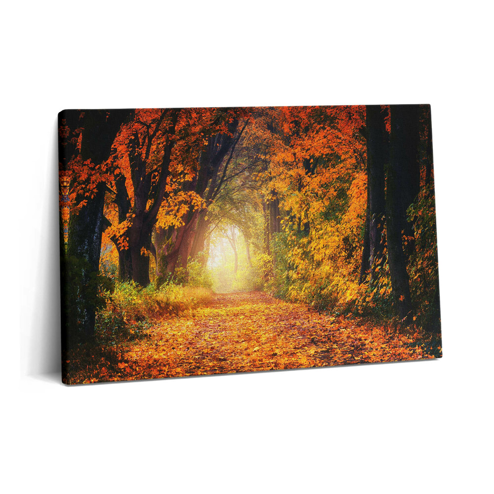 Tablou pe pânză 60x40 Tunelul Pădurii cu Frunze de Toamnă