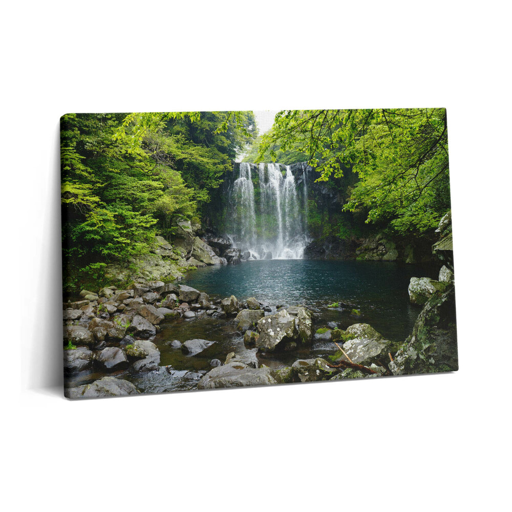 Tablou pe pânză 60x40 Cascadă și râu printre copaci