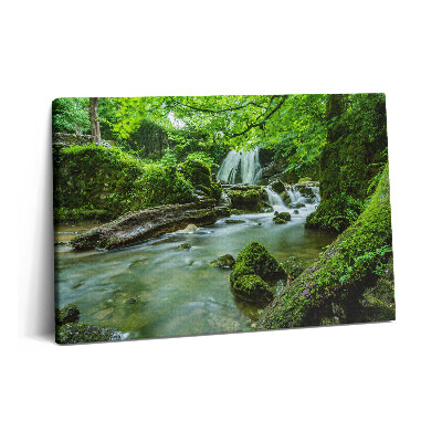 Tablou pe pânză 60x40 Cascadă în jungla sălbatică