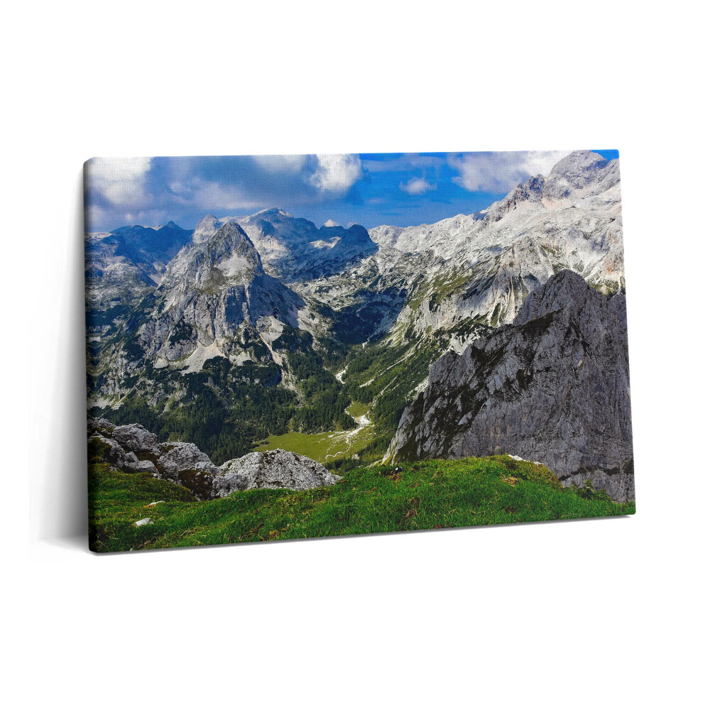 Tablou pe pânză 60x40 Peisajul Munților Stâncoși