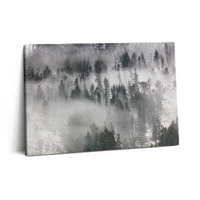 Tablou pe pânză 60x40 Peisaj de pădure încețoșată