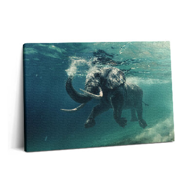 Tablou pe pânză 60x40 Elefant african în apă