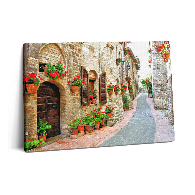 Tablou pe pânză 60x40 O stradă pitorească cu flori