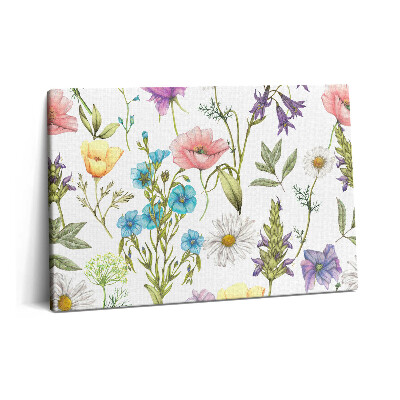 Tablou pe pânză 60x40 Ilustrație florală - pajiște cu flori