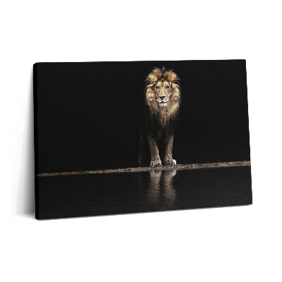 Tablou pe pânză 60x40 Leu singuratic, animal sălbatic