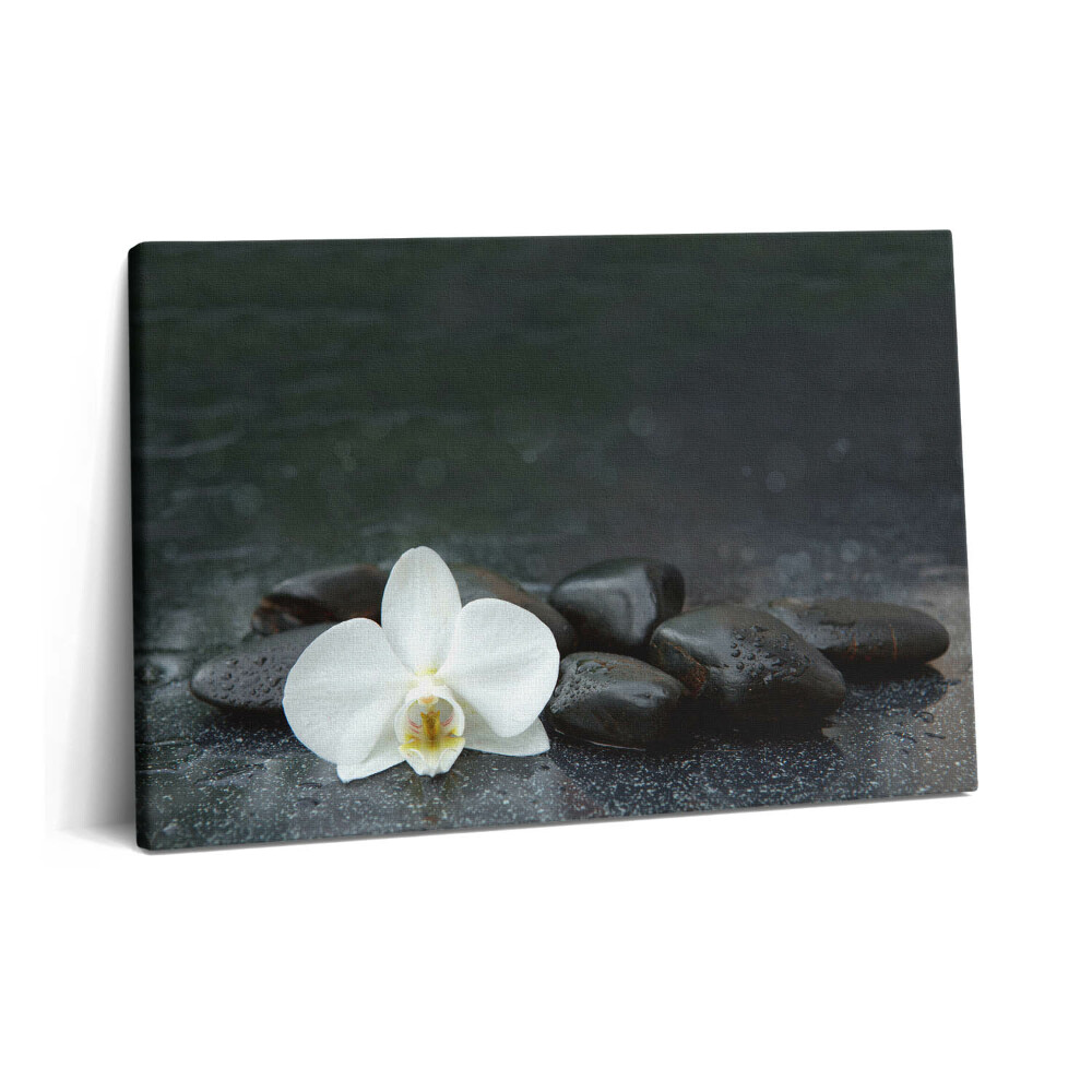 Tablou pe pânză 60x40 Pietre Zen cu flori albe