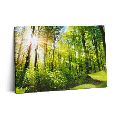 Tablou pe pânză 60x40 Razele soarelui în pădure