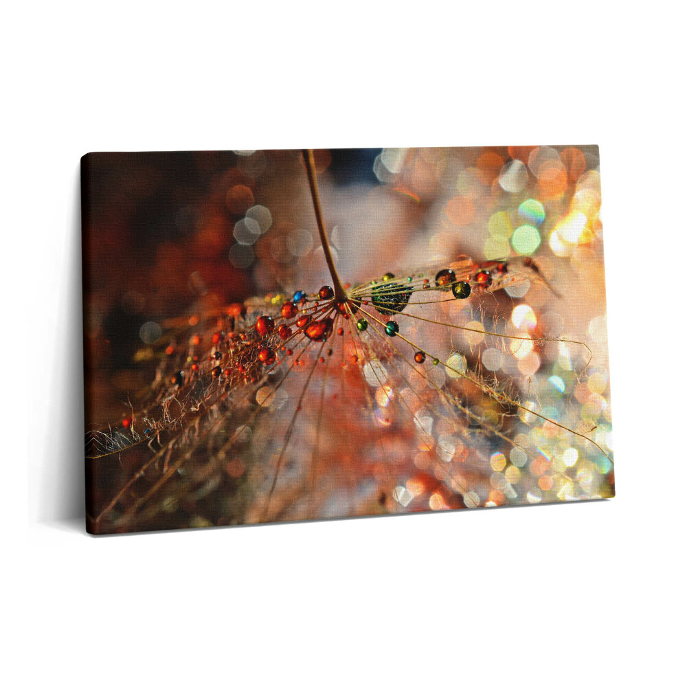 Tablou pe pânză 60x40 Păpădie și rouă