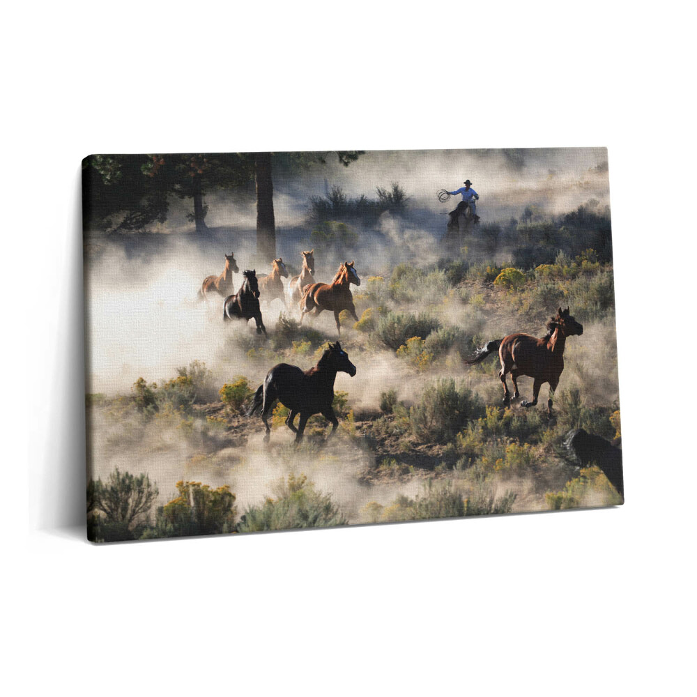 Tablou pe pânză 60x40 O turmă de cai în galop