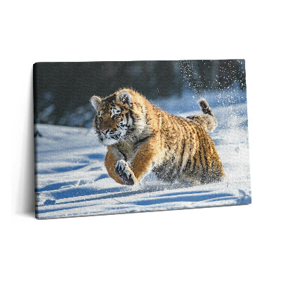 Tablou pe pânză 60x40 Tigru pufos în zăpadă