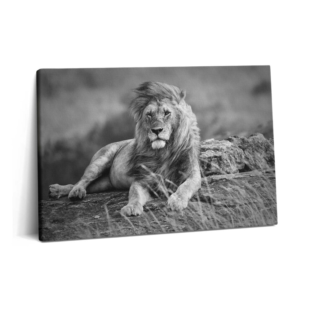 Tablou pe pânză 60x40 Leul animal maiestuos