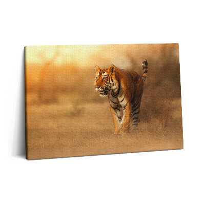 Tablou pe pânză 60x40 Tigru sălbatic la vânătoare