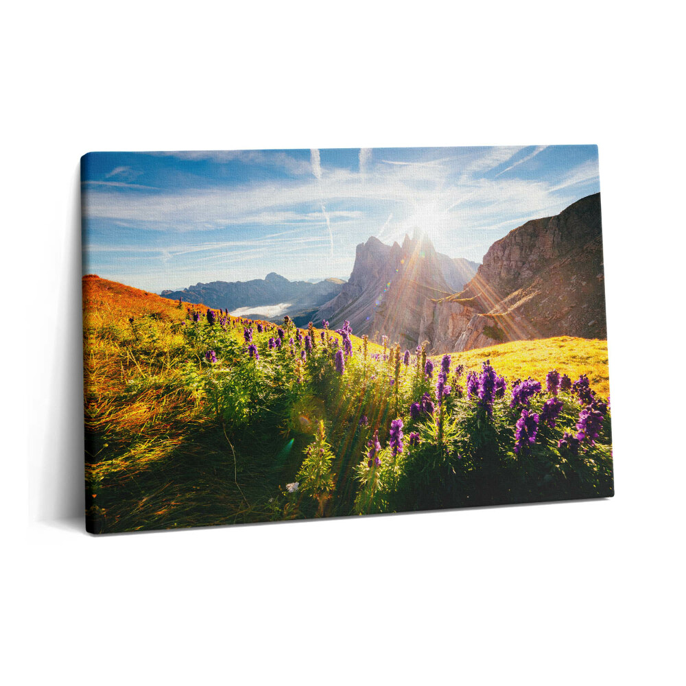 Tablou pe pânză 60x40 Peisaj dolomitic