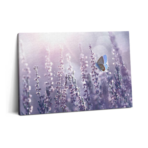 Tablou pe pânză 60x40 Fluture pe flori sălbatice