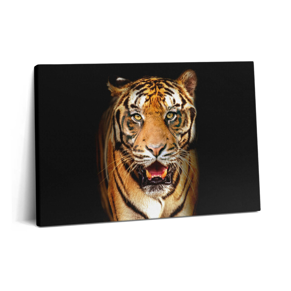 Tablou pe pânză 60x40 Pisică tigru sălbatică expresivă