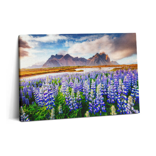 Tablou pe pânză 60x40 Flori magice de lupin