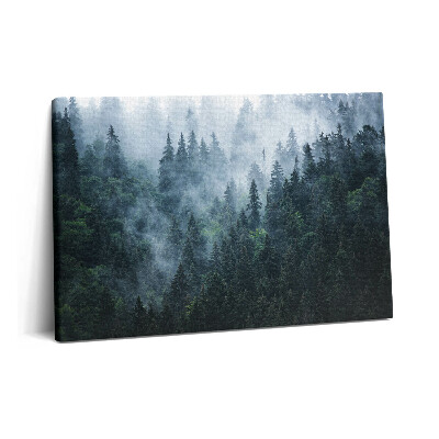 Tablou pe pânză 60x40 Peisaj montan încețoșat