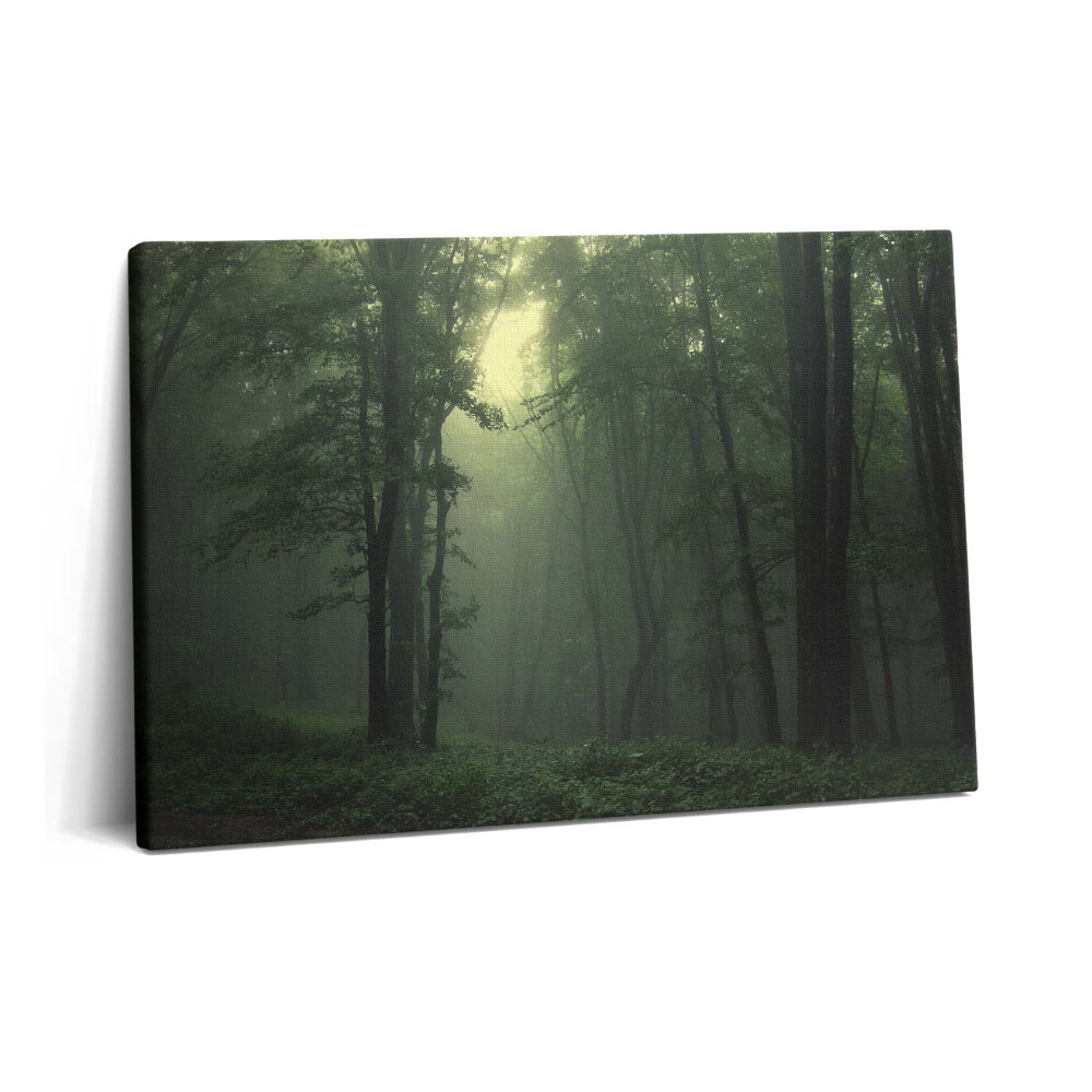 Tablou pe pânză 60x40 Pădurea încețoșată dimineața