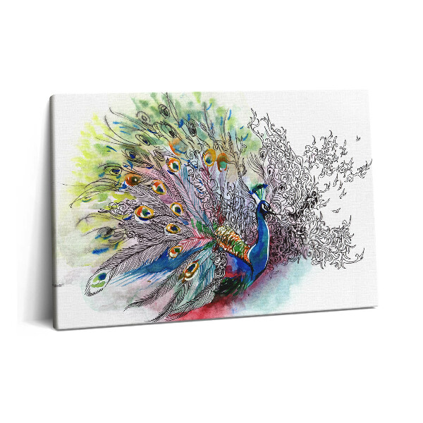 Tablou pe pânză 60x40 Păun colorat