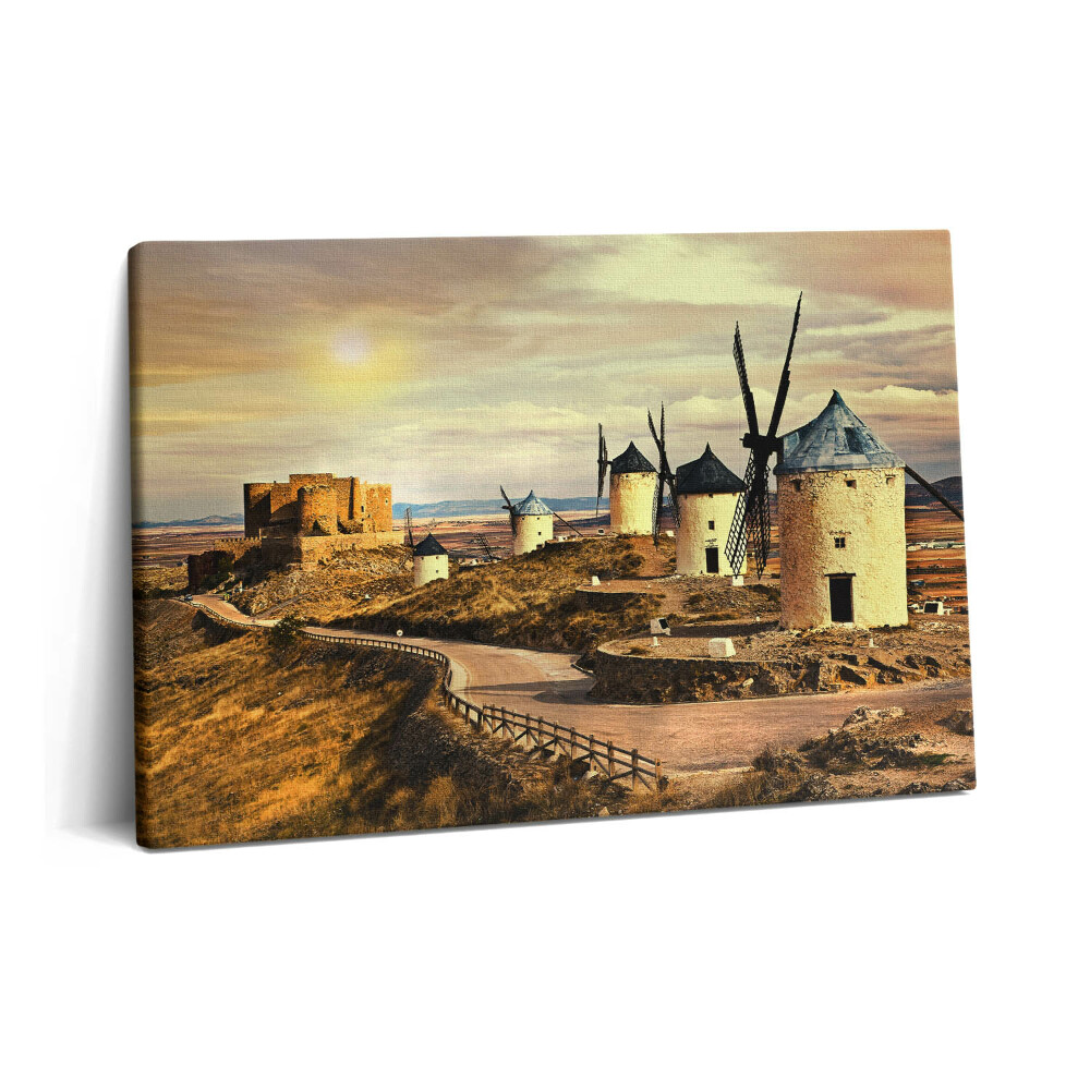Tablou pe pânză 60x40 Morile de vânt din Cosuegra