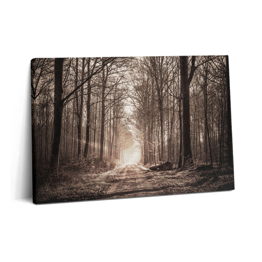 Tablou pe pânză 60x40 Cale de pădure în tonuri sepia