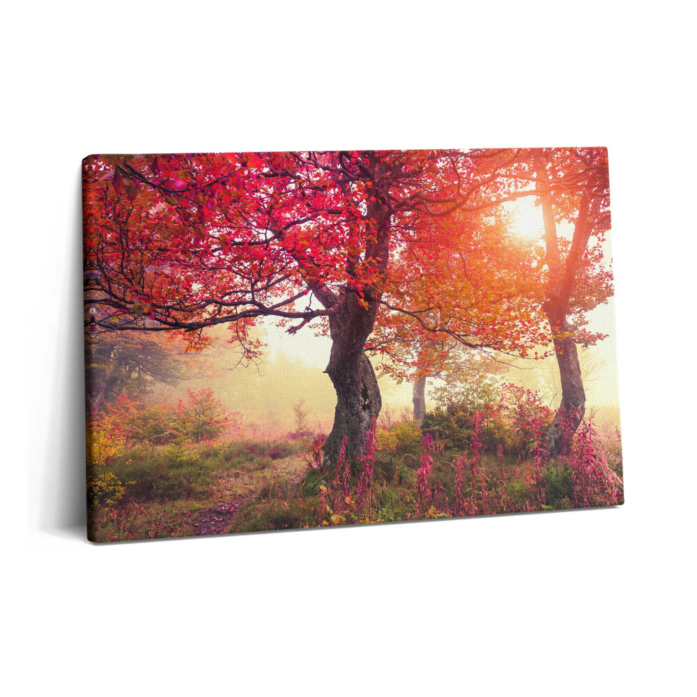 Tablou pe pânză 60x40 Copaci de toamnă