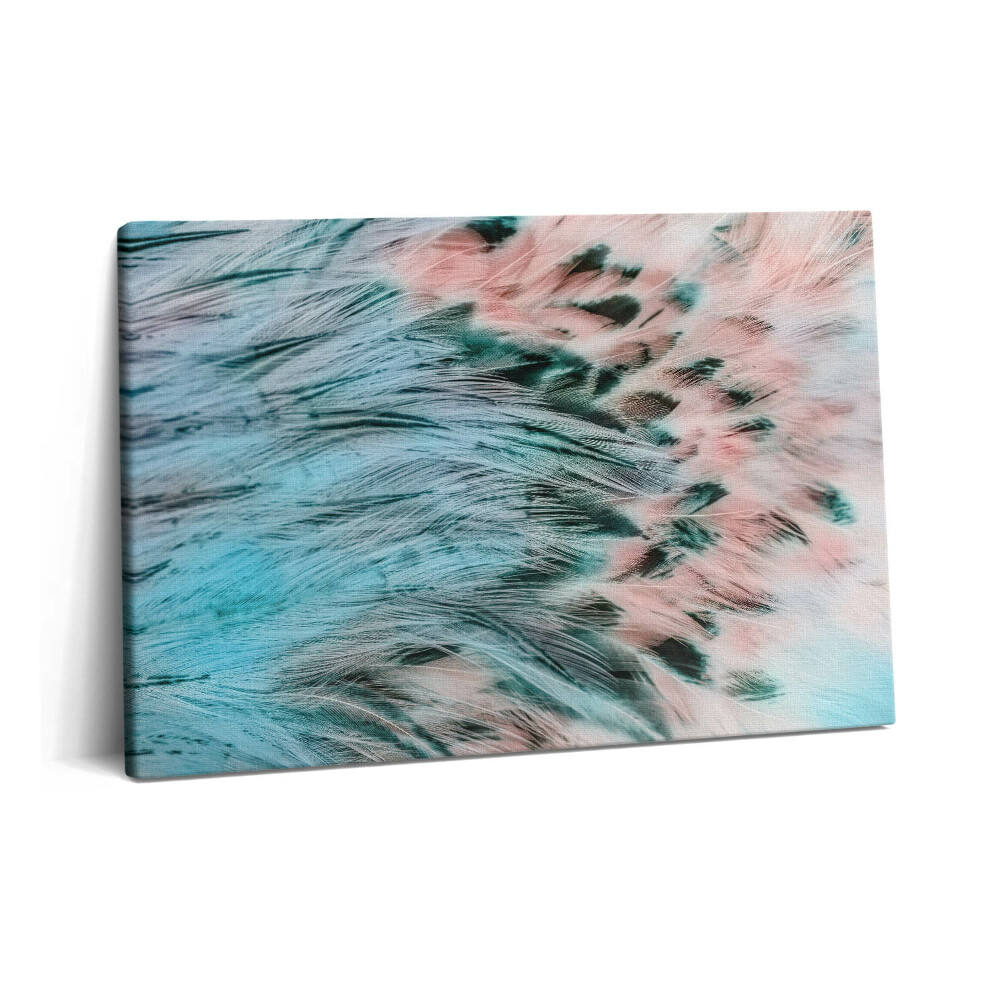 Tablou pe pânză 60x40 Pene colorate