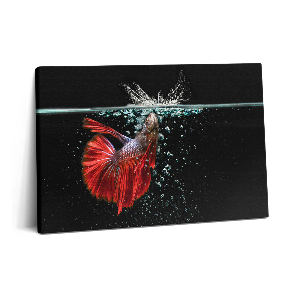 Tablou pe pânză 60x40 Peștii din acvariu