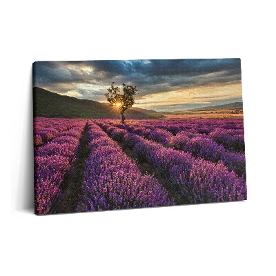 Tablou pe pânză 60x40 Peisaj de câmp de lavandă