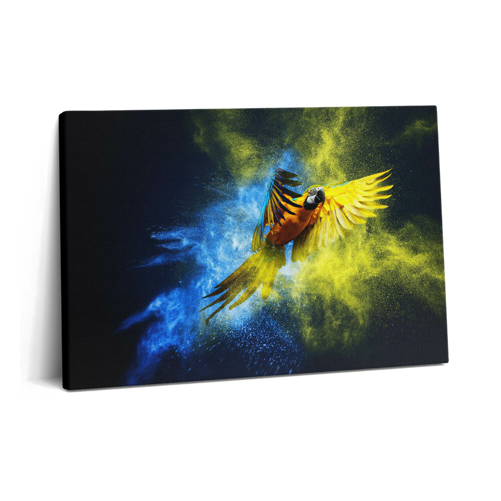 Tablou pe pânză 60x40 Papagal colorat