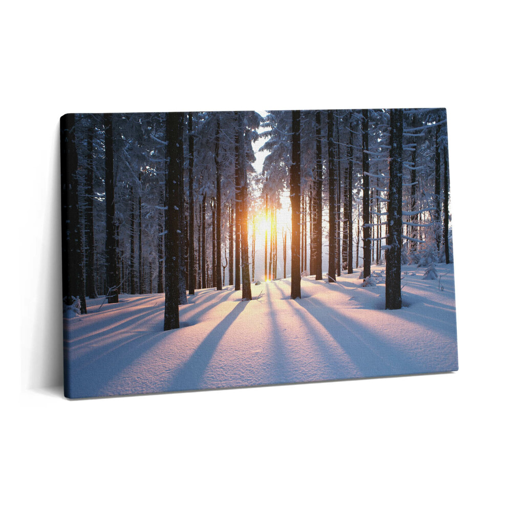 Tablou pe pânză 60x40 Apus de soare și pădure iarna