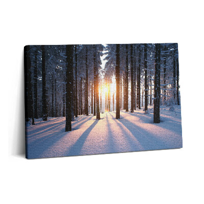 Tablou pe pânză 60x40 Apus de soare și pădure iarna