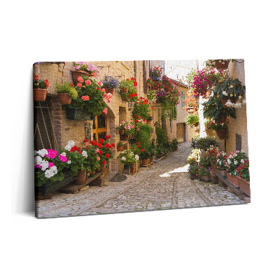 Tablou pe pânză 60x40 Aleea florilor