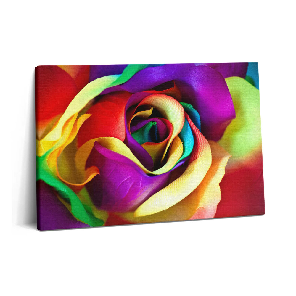 Tablou pe pânză 60x40 Trandafir Curcubeu