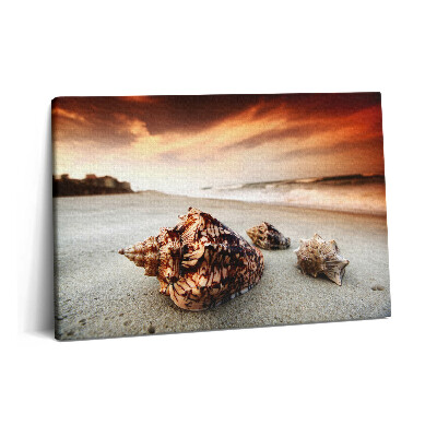 Tablou pe pânză 60x40 Scoici pe plajă