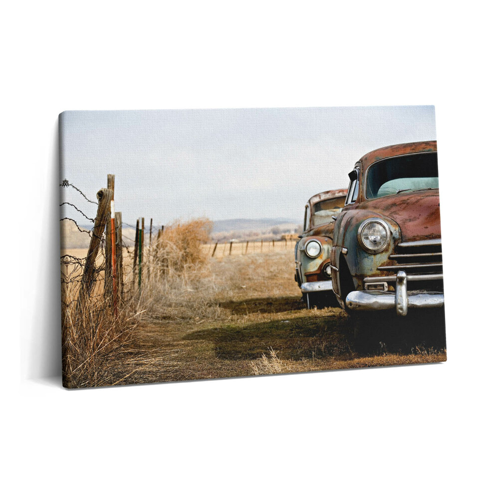 Tablou pe pânză 60x40 Mașini vechi abandonate