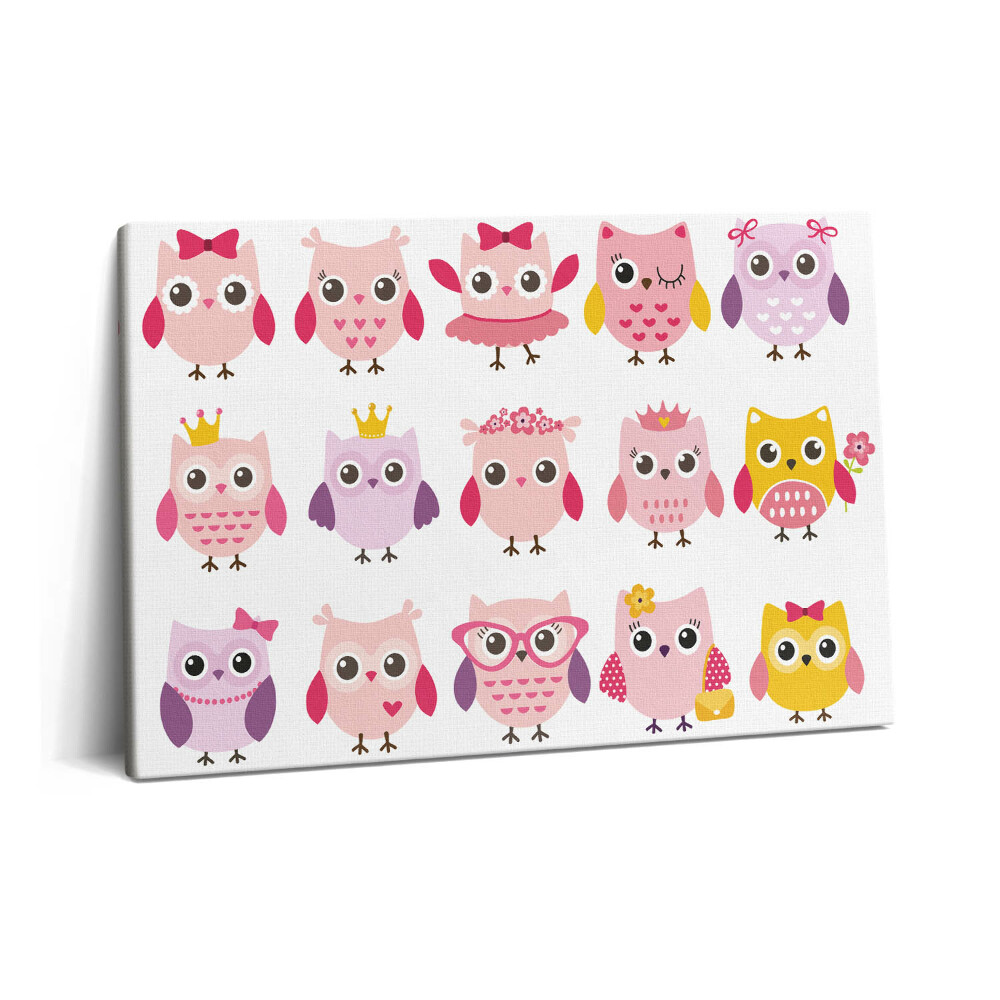 Tablou pe pânză 60x40 Bufnițe colorate într-un stil copilăresc