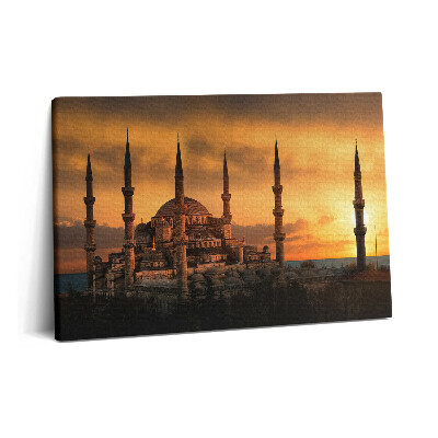 Tablou pe pânză 60x40 Moscheea din Istanbul