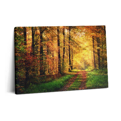 Tablou pe pânză 60x40 Peisaj de pădure de toamnă