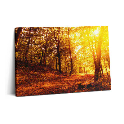 Tablou pe pânză 60x40 Peisaj apus de soare de toamnă