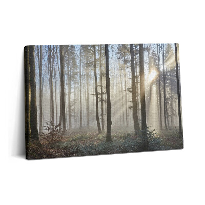 Tablou pe pânză 60x40 Pădurea în ceață