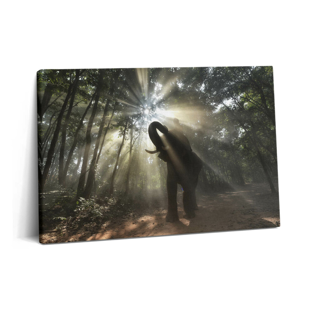 Tablou pe pânză 60x40 Elefantul în junglă