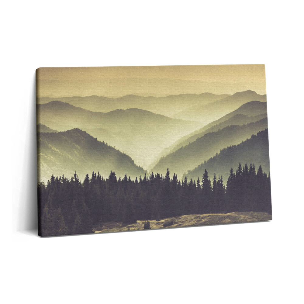 Tablou pe pânză 60x40 Pante muntoase încețoșate