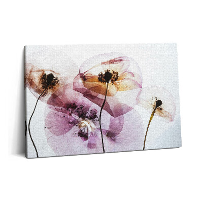 Tablou pe pânză 60x40 Flori de mac uscate