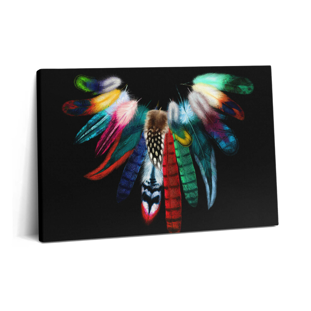 Tablou pe pânză 60x40 Pene de pasăre colorate