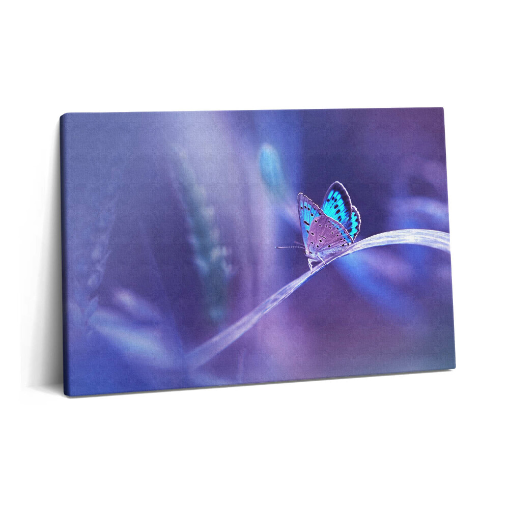 Tablou pe pânză 60x40 Fluture pe iarbă
