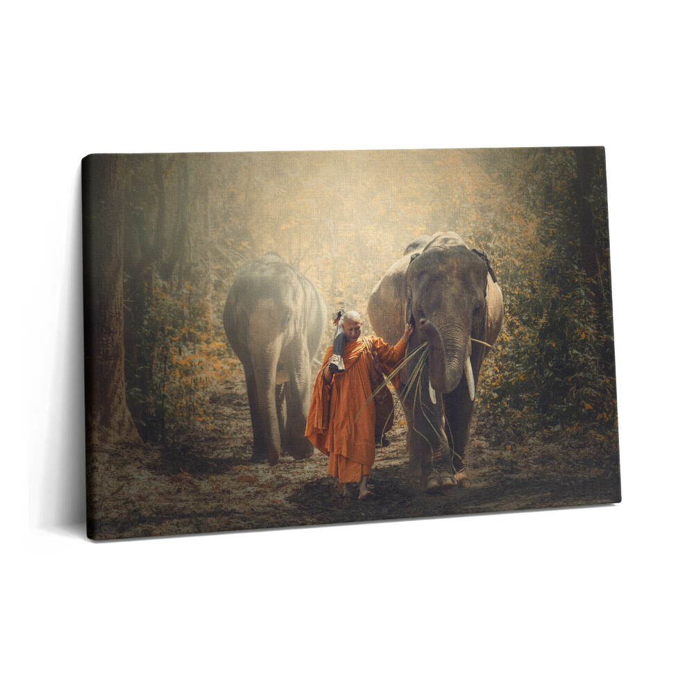 Tablou pe pânză 60x40 Călugăr și elefanți