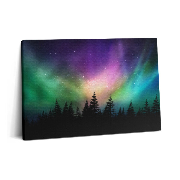Tablou pe pânză 60x40 Aurora boreală